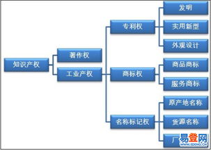 貴州省知識(shí)產(chǎn)權(quán)服務(wù)（商標(biāo)、專利、著作權(quán)） 精析易登網(wǎng)版權(quán)服務(wù)優(yōu)勢(shì)與適用范圍